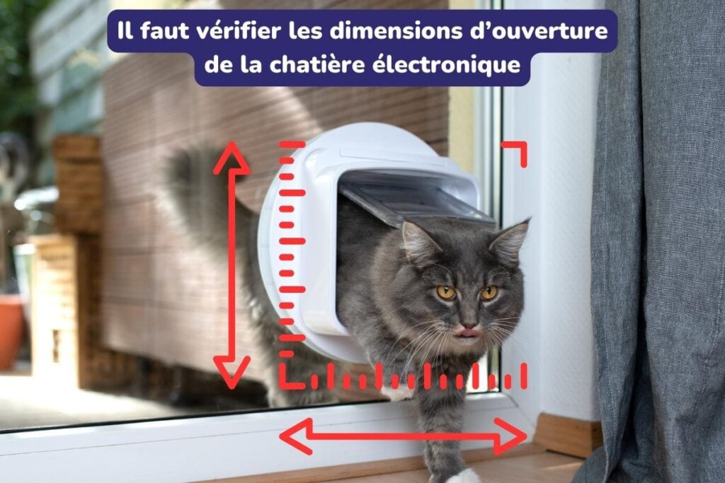 Chatière électronique Les 5 modèles incontournables en 2025 — free download