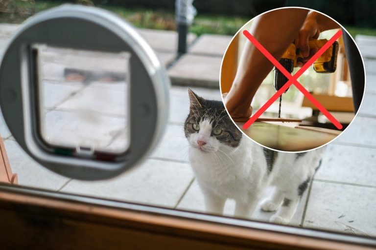 Chatière sans percer : voici LA solution ultime