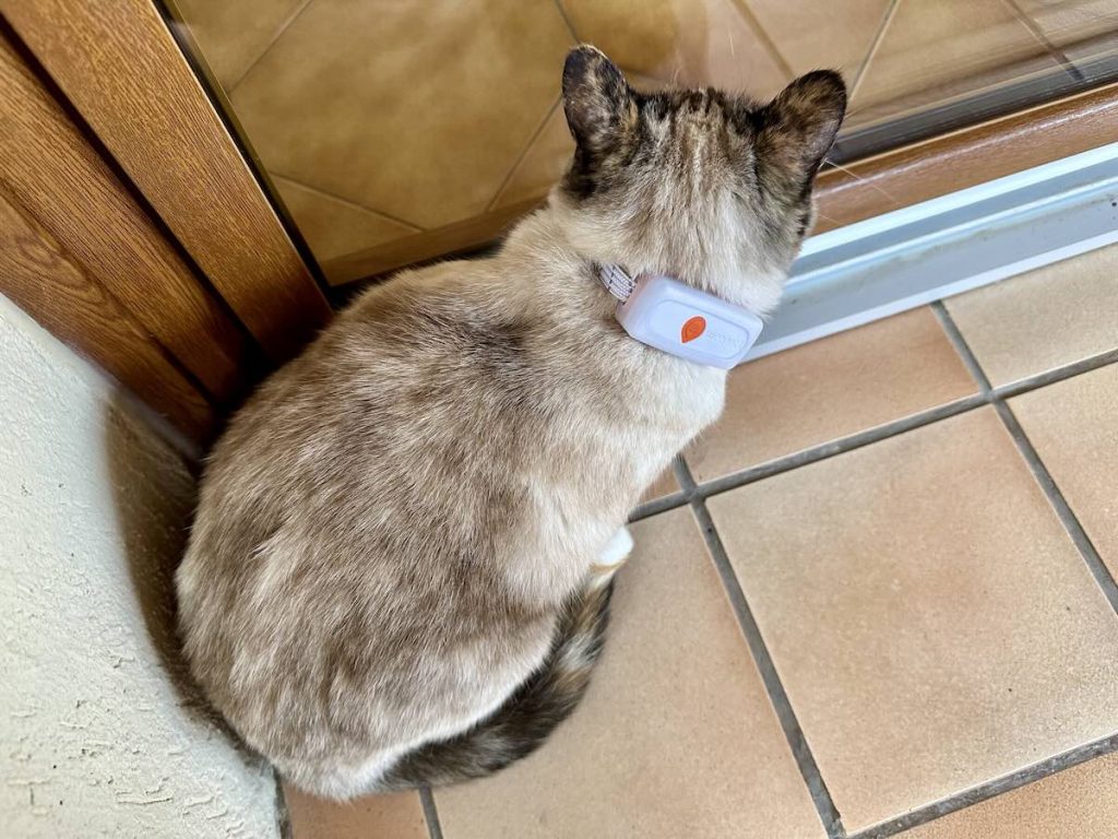 Collier GPS Pour Chat - Sans Abonnement, Compatible Google Find My (Android) - Étanche, Batterie Longue Durée